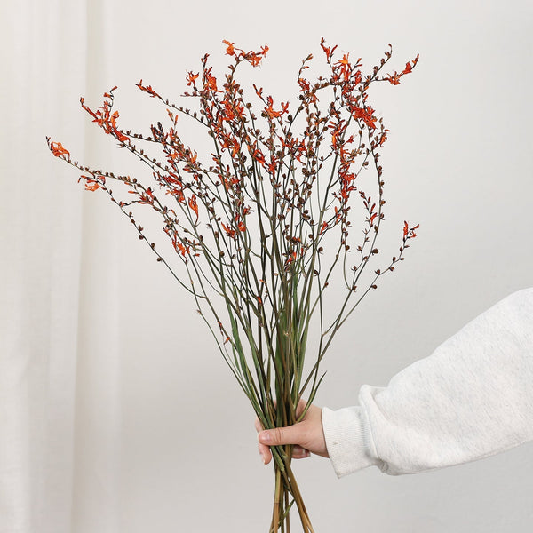 Dried Fire Orchid Bouquet, Natural Decorations, Flower Arrangement, Handmade Artificial Flower, Natural Dried Flowers-ArtWorkCrafts.com