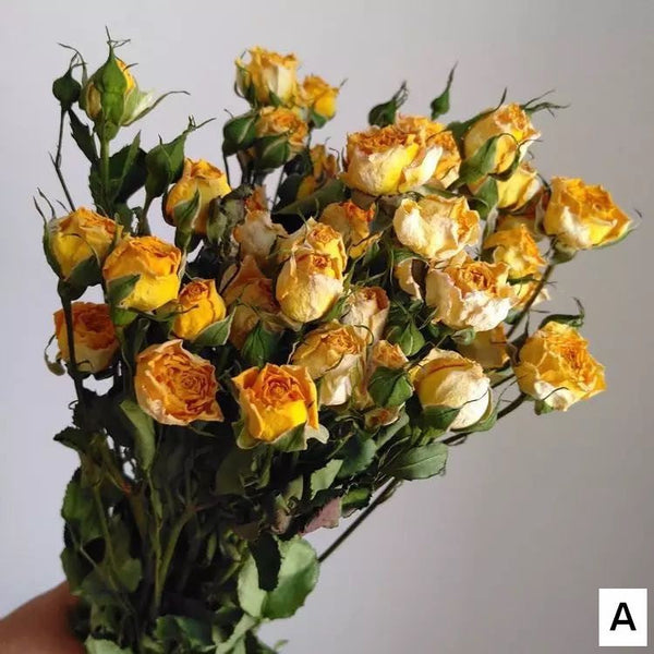 Dried Rose Flower Bouquet, A Bouquet of Dried Rose Flowers, Natural Dried Rose Flower Bunches, A Bunch Dried Rose Flowers, Red Yellow Purple Dried Rose Floral-ArtWorkCrafts.com