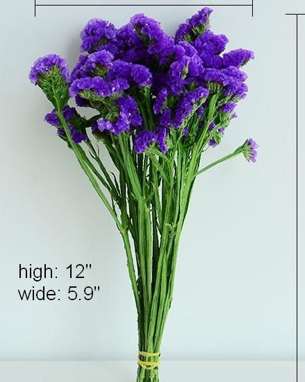 Dried Statices Flower, Dried Flowers, Flower Bunches, Dried Floral-ArtWorkCrafts.com