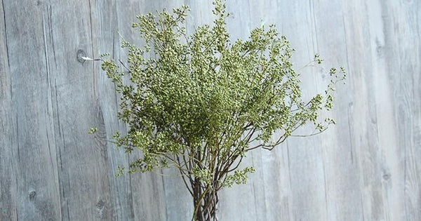 Dried Seek, Dried Flowers, Botanical Home Decor, Seed Stalks. Natural Greenery-ArtWorkCrafts.com