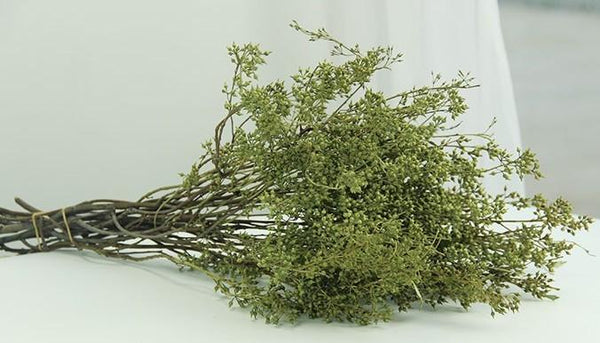 Dried Seek, Dried Flowers, Botanical Home Decor, Seed Stalks. Natural Greenery-ArtWorkCrafts.com