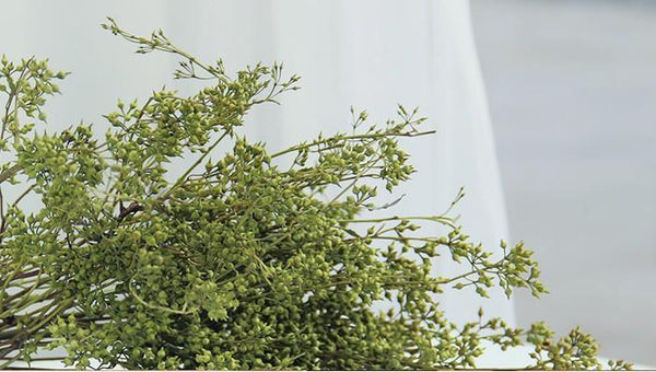 Dried Seek, Dried Flowers, Botanical Home Decor, Seed Stalks. Natural Greenery-ArtWorkCrafts.com