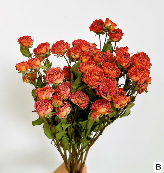 Dried Rose Flower Bouquet, A Bouquet of Dried Rose Flowers, Natural Dried Rose Flower Bunches, A Bunch Dried Rose Flowers, Red Yellow Purple Dried Rose Floral-ArtWorkCrafts.com