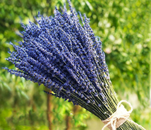 Flower Arrangements, Natural Dried Lavender Flower Bouquet, Natural Dried Lavender Flowers, A Bunch of Dried Lavender Flowers, Handmade Artificial Flowers for Home Decor-ArtWorkCrafts.com