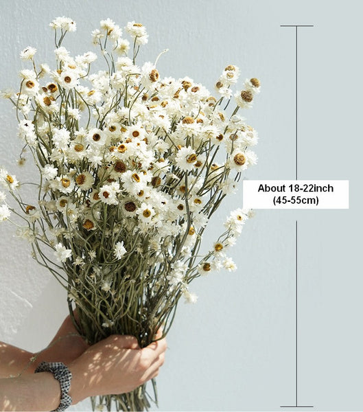 Flower Arrangements, Natural Dried Daisy Flower Bouquet, Natural Dried Daisy Flowers, A Bunch of Dried Daisy Flowers, Handmade Artificial Flowers for Home Decor-ArtWorkCrafts.com