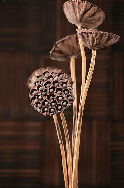 10 Stems Lotus Pods, Dried Lotus Pods, Natural Decor, Rustic Decor, Lotus Flower Arrangement-ArtWorkCrafts.com