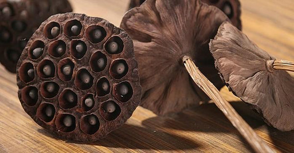 10 Stems Lotus Pods, Dried Lotus Pods, Natural Decor, Rustic Decor, Lotus Flower Arrangement-ArtWorkCrafts.com