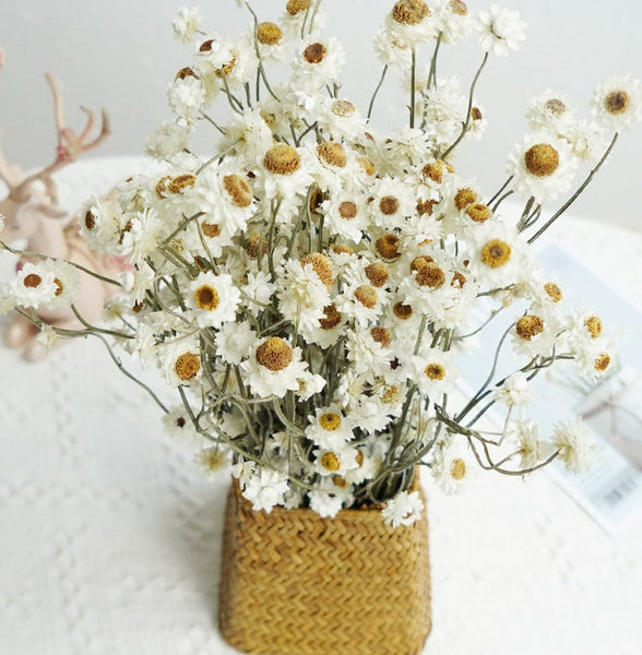 Flower Arrangements, Natural Dried Daisy Flower Bouquet, Natural Dried Daisy Flowers, A Bunch of Dried Daisy Flowers, Handmade Artificial Flowers for Home Decor-ArtWorkCrafts.com
