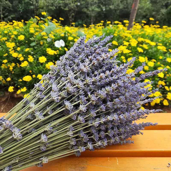 Flower Arrangements, Natural Dried Lavender Flower Bouquet, Natural Dried Lavender Flowers, A Bunch of Dried Lavender Flowers, Handmade Artificial Flowers for Home Decor-ArtWorkCrafts.com