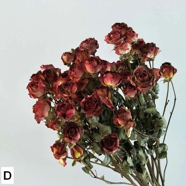 A Bouquet of Dried Rose Flowers, Dried Rose Flower Bouquet, Natural Dried Rose Flower Bunches, A Bunch Dried Rose Flowers, Red Yellow Purple Dried Rose Floral-ArtWorkCrafts.com