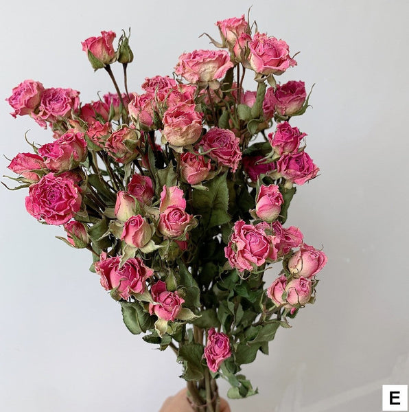 A Bouquet of Dried Rose Flowers, Dried Rose Flower Bouquet, Natural Dried Rose Flower Bunches, A Bunch Dried Rose Flowers, Red Yellow Purple Dried Rose Floral-ArtWorkCrafts.com