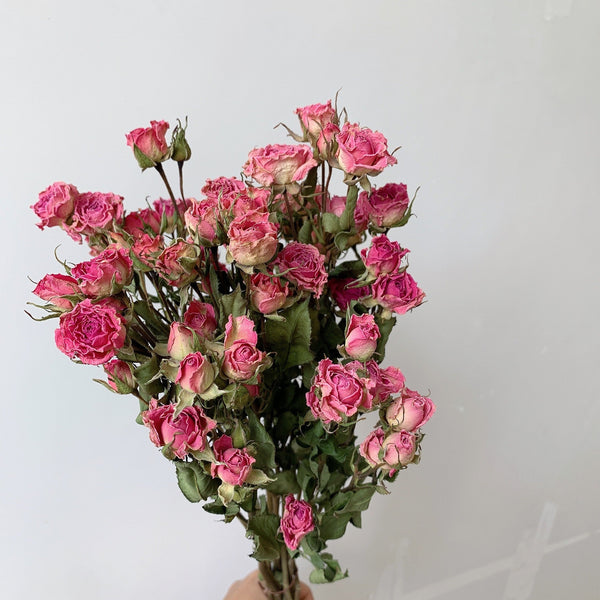 Red Yellow Purple Dried Rose Floral, Dried Rose Flower Bouquet, A Bouquet of Dried Rose Flowers, Natural Dried Rose Flower Bunches, A Bunch Dried Rose Flowers-ArtWorkCrafts.com