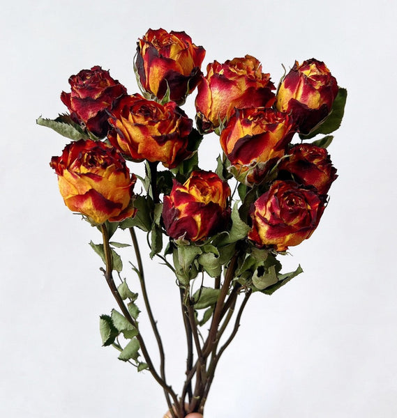 Rose Floral Bouquet, Dried Rose Flowers, Natural Dried Rose Flower Bunches, A Bunch Dried Rose Flowers, Red Yellow Purple Dried Rose Flowers-ArtWorkCrafts.com