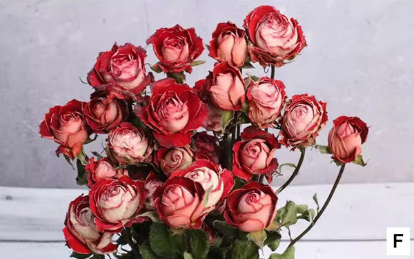 A Bouquet of Dried Rose Flowers, Dried Rose Flower Bouquet, Natural Dried Rose Flower Bunches, A Bunch Dried Rose Flowers, Red Yellow Purple Dried Rose Floral-ArtWorkCrafts.com