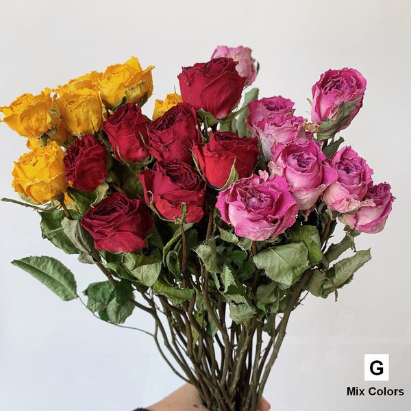 Natural Dried Rose Flower Bunches, Dried Rose Floral Bouquet, Dried Flowers, A Bunch Dried Rose Flowers, Red Yellow Purple Dried Rose Flowers-ArtWorkCrafts.com