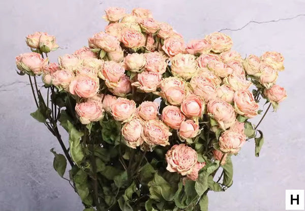 Dried Rose Flower Bouquet, A Bouquet of Dried Rose Flowers, Natural Dried Rose Flower Bunches, A Bunch Dried Rose Flowers, Red Yellow Purple Dried Rose Floral-ArtWorkCrafts.com