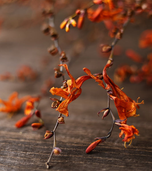 Dried Fire Orchid Bouquet, Natural Decorations, Flower Arrangement, Handmade Artificial Flower, Natural Dried Flowers-ArtWorkCrafts.com