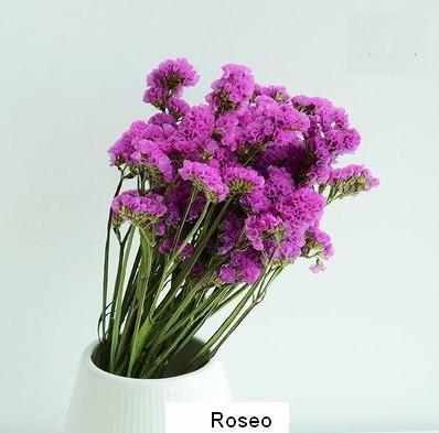 Dried Statices Flower, Dried Flowers, Flower Bunches, Dried Floral-ArtWorkCrafts.com