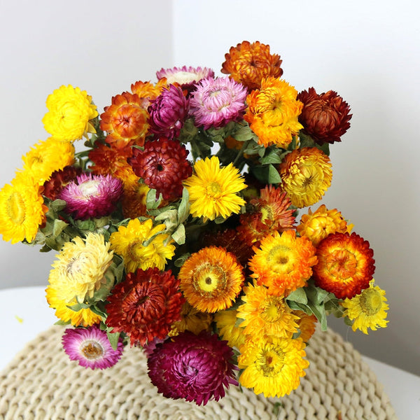 Natural Dried Daisy Flowers, Flower Arrangements, Natural Decorations, A Bunch of Dried Daisy Flowers, Handmade Artificial Flowers for Home Decor-ArtWorkCrafts.com