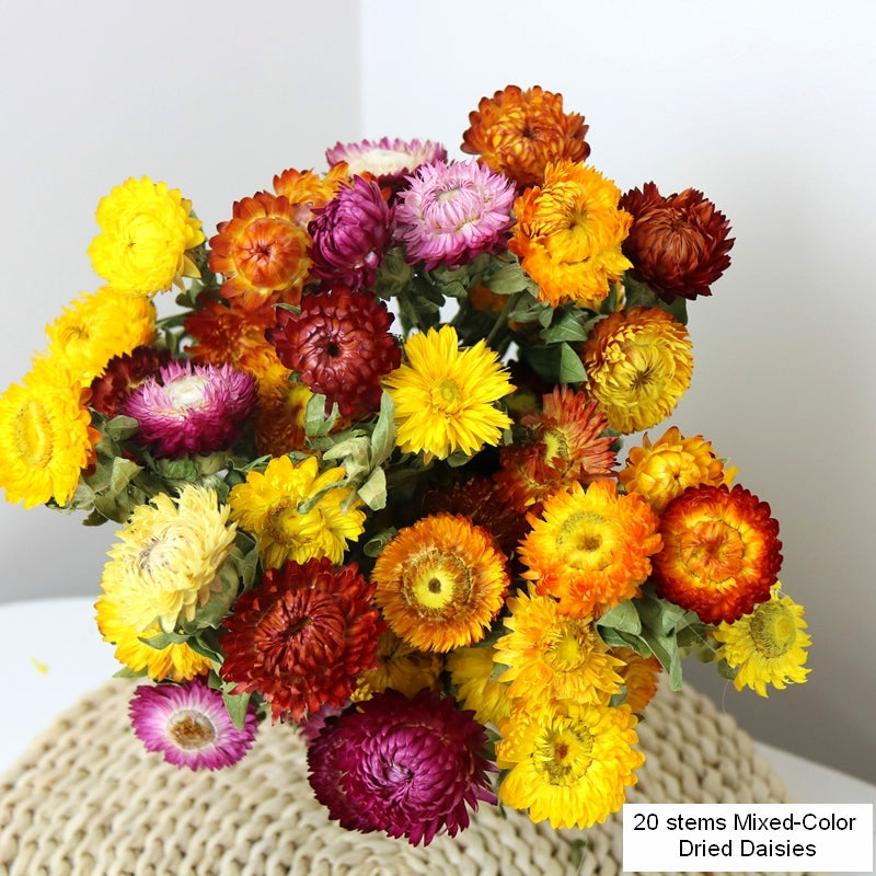 Natural Dried Daisy Flowers, Flower Arrangements, Natural Decorations, A Bunch of Dried Daisy Flowers, Handmade Artificial Flowers for Home Decor-ArtWorkCrafts.com