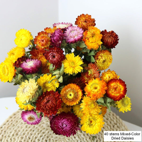 Natural Dried Daisy Flowers, Flower Arrangements, Natural Decorations, A Bunch of Dried Daisy Flowers, Handmade Artificial Flowers for Home Decor-ArtWorkCrafts.com
