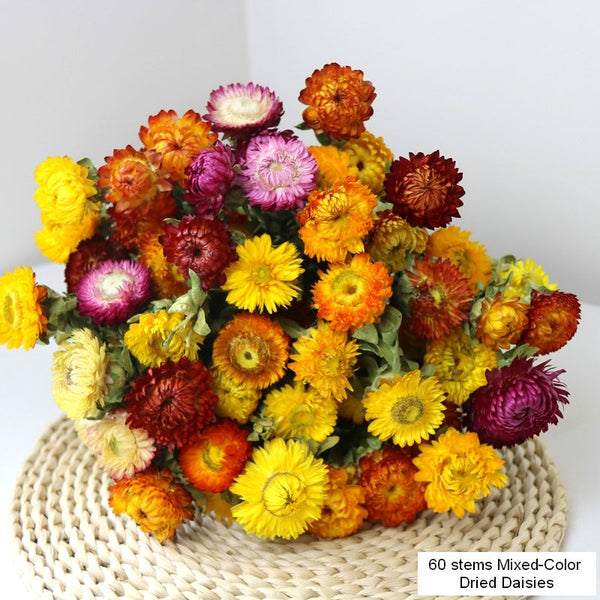 Natural Dried Daisy Flowers, Flower Arrangements, Natural Decorations, A Bunch of Dried Daisy Flowers, Handmade Artificial Flowers for Home Decor-ArtWorkCrafts.com