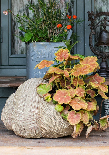 Snail Flowerpot for Garden Decoration, Cute Snail Statues, Garden Animal Statues, Unique Modern Garden Sculptures, Creative Villa Outdoor Gardening Ideas-ArtWorkCrafts.com