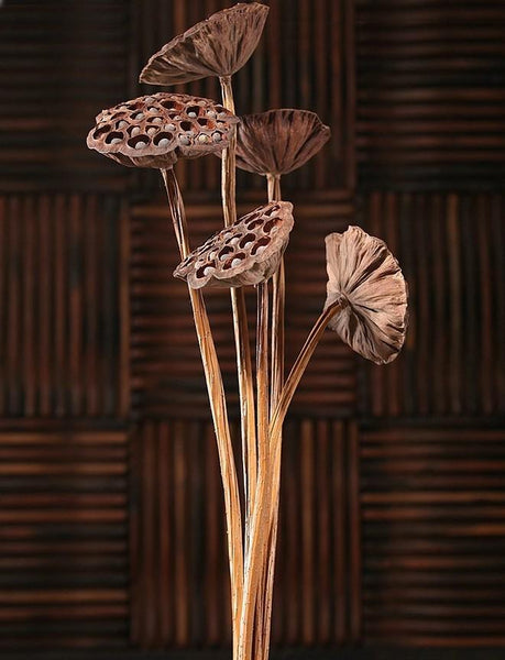 10 Stems Lotus Pods, Dried Lotus Pods, Natural Decor, Rustic Decor, Lotus Flower Arrangement-ArtWorkCrafts.com