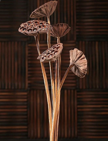 10 Stems Lotus Pods, Dried Lotus Pods, Natural Decor, Rustic Decor, Lotus Flower Arrangement-ArtWorkCrafts.com