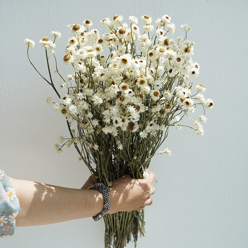Natural Dried Daisy Flowers, Preserved Wild Flower Arrangements, Rustic Home Decor Bouquet