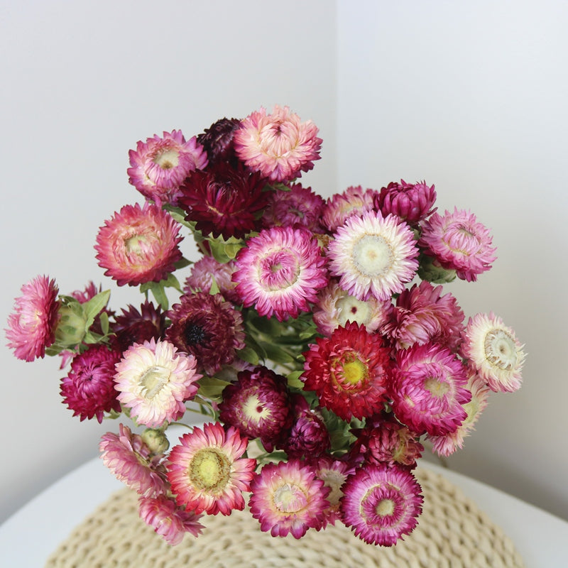 Flower Arrangements, Natural Dried Purple Daisy Flowers, Natural Decorations, A Bunch of Dried Daisy Flowers, Handmade Artificial Flowers for Home Decor-ArtWorkCrafts.com