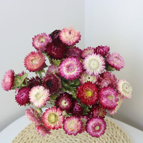 Flower Arrangements, Natural Dried Purple Daisy Flowers, Natural Decorations, A Bunch of Dried Daisy Flowers, Handmade Artificial Flowers for Home Decor-ArtWorkCrafts.com