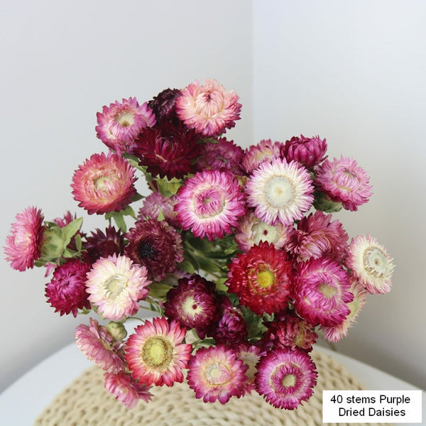 Flower Arrangements, Natural Dried Purple Daisy Flowers, Natural Decorations, A Bunch of Dried Daisy Flowers, Handmade Artificial Flowers for Home Decor-ArtWorkCrafts.com
