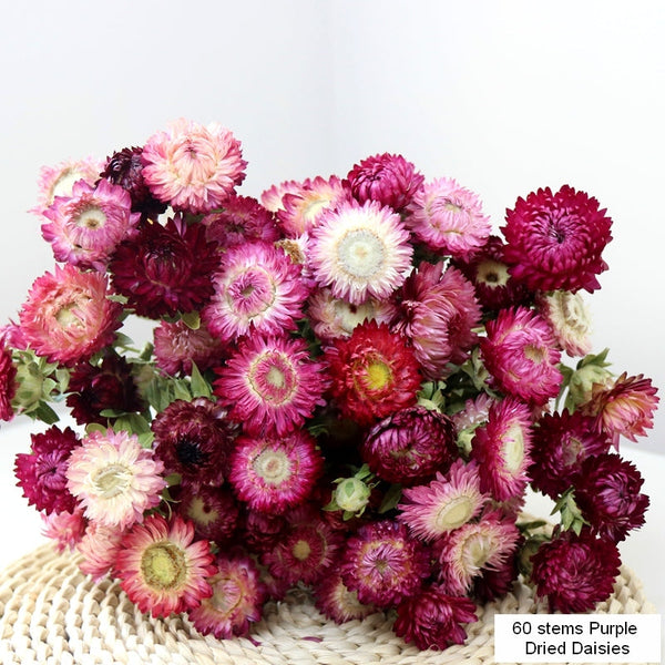 Flower Arrangements, Natural Dried Purple Daisy Flowers, Natural Decorations, A Bunch of Dried Daisy Flowers, Handmade Artificial Flowers for Home Decor-ArtWorkCrafts.com