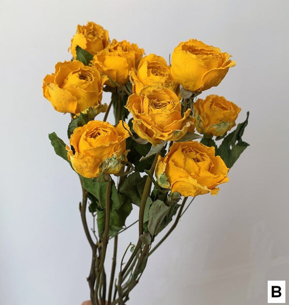 Rose Floral Bouquet, Dried Rose Flowers, Natural Dried Rose Flower Bunches, A Bunch Dried Rose Flowers, Red Yellow Purple Dried Rose Flowers-ArtWorkCrafts.com