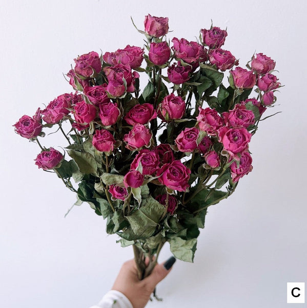 A Bouquet of Dried Rose Flowers, Dried Rose Flower Bouquet, Natural Dried Rose Flower Bunches, A Bunch Dried Rose Flowers, Red Yellow Purple Dried Rose Floral-ArtWorkCrafts.com