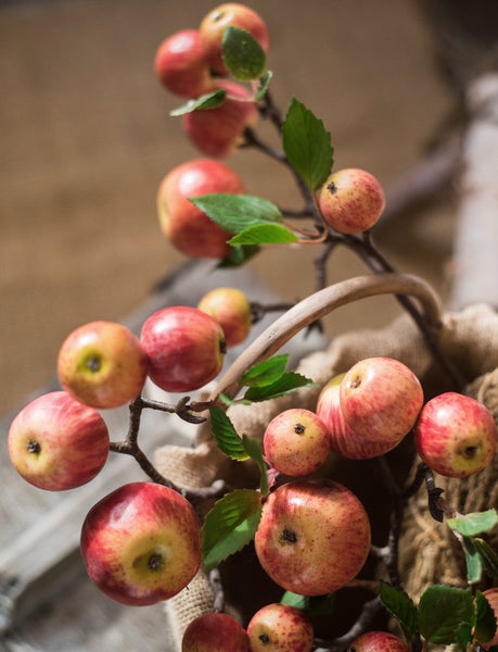Apple Branch, Fruit Branch, Table Centerpiece, Beautiful Modern Flower Arrangement Ideas for Home Decoration, Autumn Artificial Floral for Dining Room-ArtWorkCrafts.com