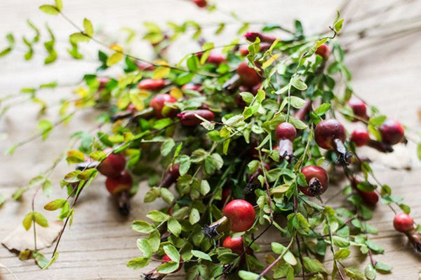 Pomegranate Branch, Beautiful Flower Arrangement Ideas for Home Decoration, Table Centerpiece, Artificial Fruit Plants, Spring Artificial Floral for Dining Room-ArtWorkCrafts.com