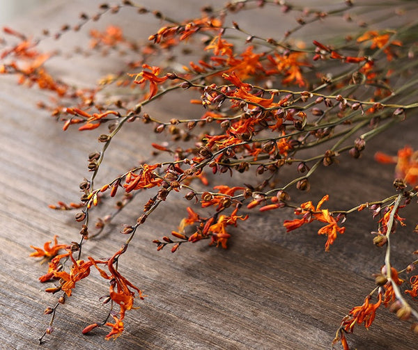 Natural Decorations, Flower Arrangement, Handmade Artificial Flower, Dried Fire Orchid Bouquet, Natural Dried Flowers-ArtWorkCrafts.com