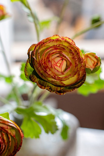 Dining Room Flower Arrangement Ideas, Ranunculus Asiaticus Flowers, Simple Modern Floral Arrangement Ideas for Home Decoration, Spring Artificial Floral for Bedroom-ArtWorkCrafts.com