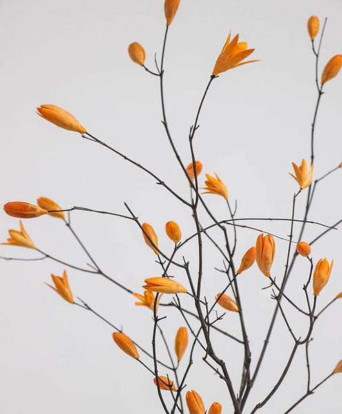 Magnolia Long Twigs, Natural Decorations, Dried Magnolia Branch, Flower Arrangement, Handmade Artificial Flower, Natural Dried Branches-ArtWorkCrafts.com