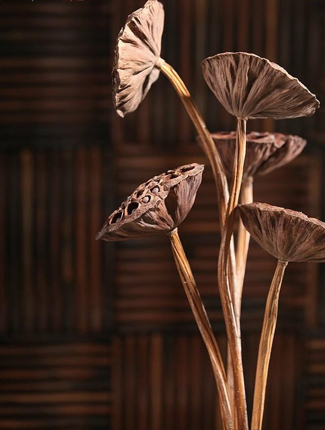 Dried Lotus Pods Stems, Natural Lotus Flower Arrangement, Dried Floral Centerpiece Decor