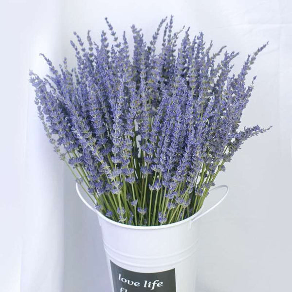 Flower Arrangements, Natural Dried Lavender Flower Bouquet, Natural Dried Lavender Flowers, A Bunch of Dried Lavender Flowers, Handmade Artificial Flowers for Home Decor-ArtWorkCrafts.com