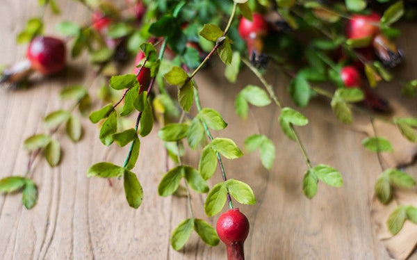 Pomegranate Branch, Beautiful Flower Arrangement Ideas for Home Decoration, Table Centerpiece, Artificial Fruit Plants, Spring Artificial Floral for Dining Room-ArtWorkCrafts.com