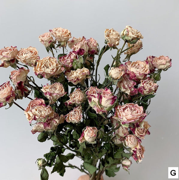 A Bouquet of Dried Rose Flowers, Dried Rose Flower Bouquet, Natural Dried Rose Flower Bunches, A Bunch Dried Rose Flowers, Red Yellow Purple Dried Rose Floral-ArtWorkCrafts.com