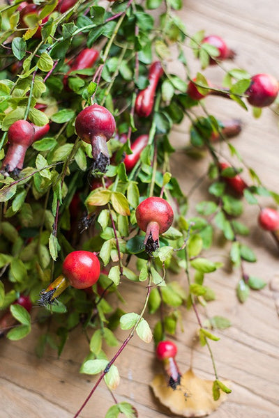 Pomegranate Branch, Beautiful Flower Arrangement Ideas for Home Decoration, Table Centerpiece, Artificial Fruit Plants, Spring Artificial Floral for Dining Room-ArtWorkCrafts.com