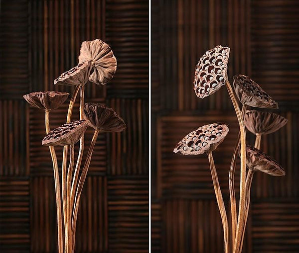 10 Stems Lotus Pods, Dried Lotus Pods, Natural Decor, Rustic Decor, Lotus Flower Arrangement-ArtWorkCrafts.com