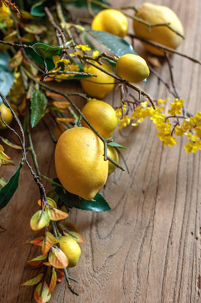 Lemon Branch, Fragrans stems, Fern leaf, Creative Flower Arrangement Ideas for Home Decoration, Unique Artificial Flowers, Simple Artificial Floral for Dining Room Table-ArtWorkCrafts.com