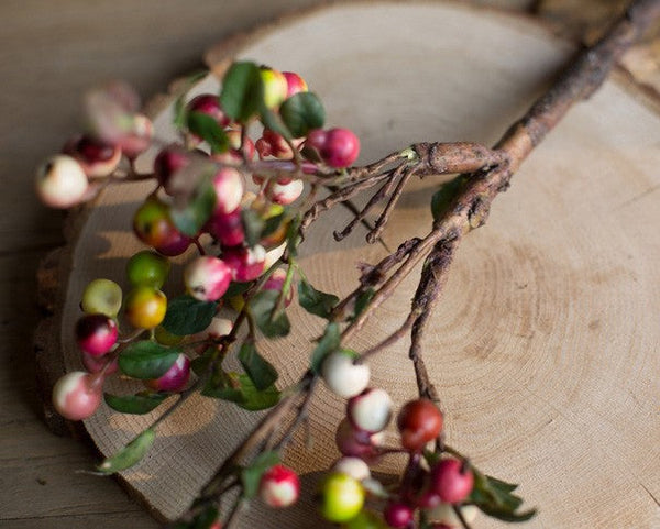 Cranberry Fruit Branch, Flower Arrangement Ideas for Living Room, Unique Artificial Flowers for Home Decoration, Spring Artificial Floral for Bedroom-ArtWorkCrafts.com
