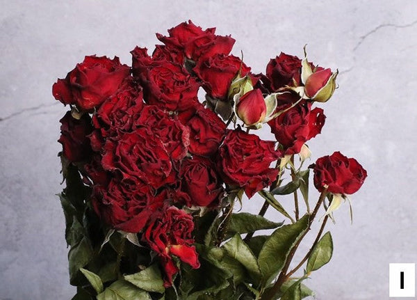 A Bouquet of Dried Rose Flowers, Dried Rose Flower Bouquet, Natural Dried Rose Flower Bunches, A Bunch Dried Rose Flowers, Red Yellow Purple Dried Rose Floral-ArtWorkCrafts.com